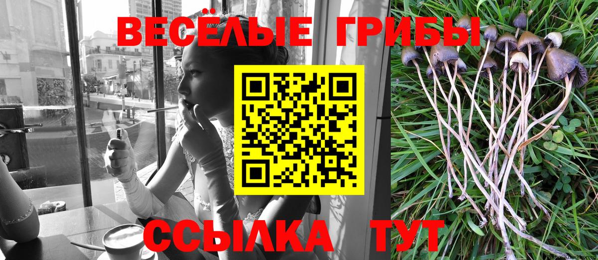 Ярцево  Псилоцибиновые грибы MAGIC MUSHROOMS  Вход с VPN 
